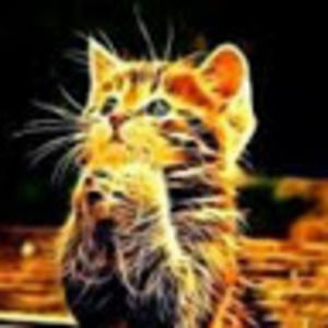 Meet your Posher, Indalecio